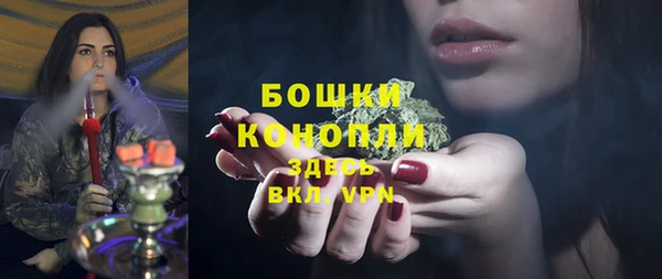 ECSTASY Медногорск