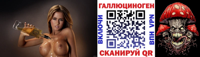 Купить где  Чекалин  Псилоцибиновые грибы мицелий 
