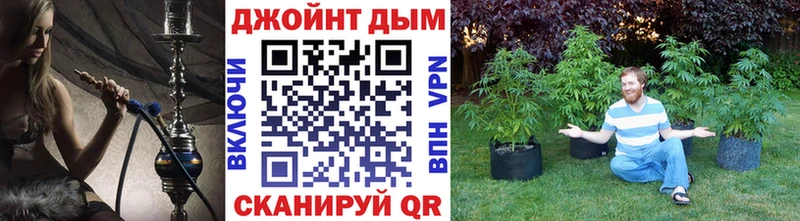 Купить  Чекалин  МАРИХУАНА SATIVA & INDICA 